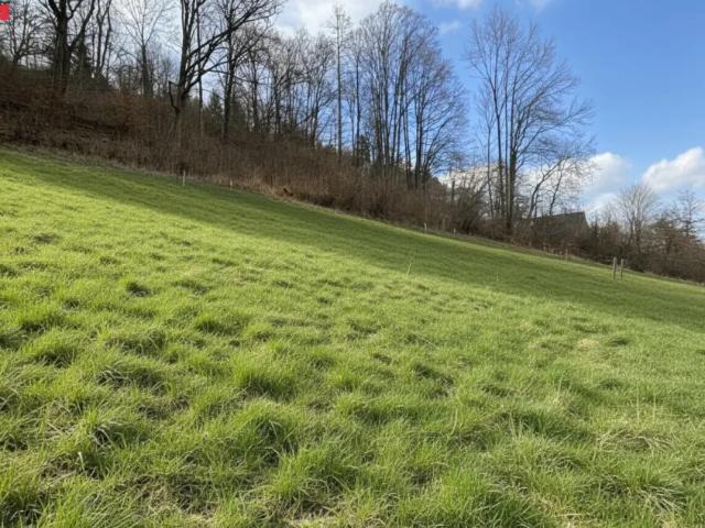 Grundstück kaufen in Stattegg, Steiermark