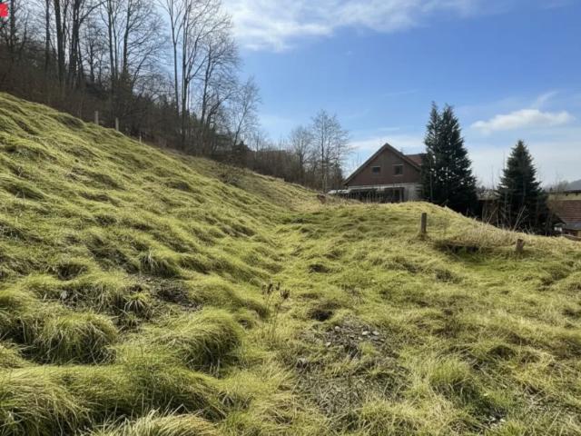 Grundstück kaufen in Stattegg, Steiermark