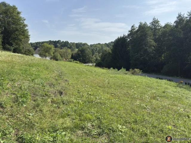 Grundstück kaufen in Stegersbach, Burgenland