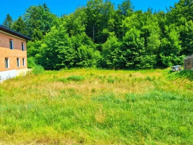 Grundstück kaufen in Steinakirchen am Forst, Niederösterreich