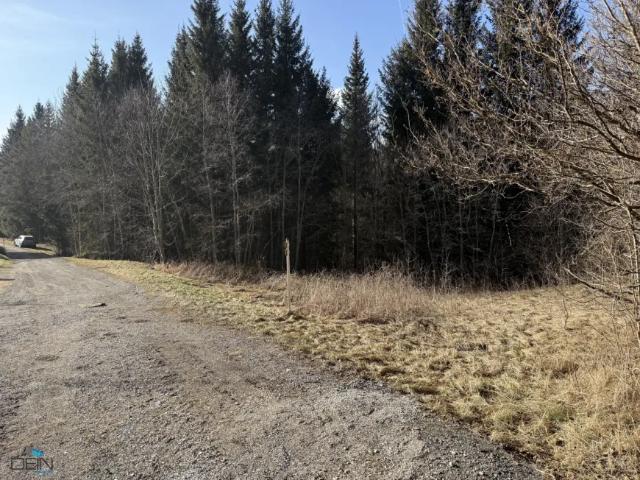 Grundstück kaufen in Spital am Semmering, Steiermark