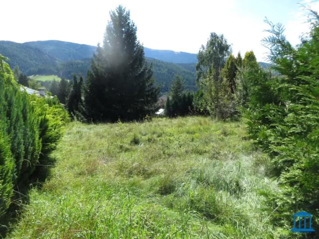 Grundstück kaufen in Spital am Semmering, Steiermark