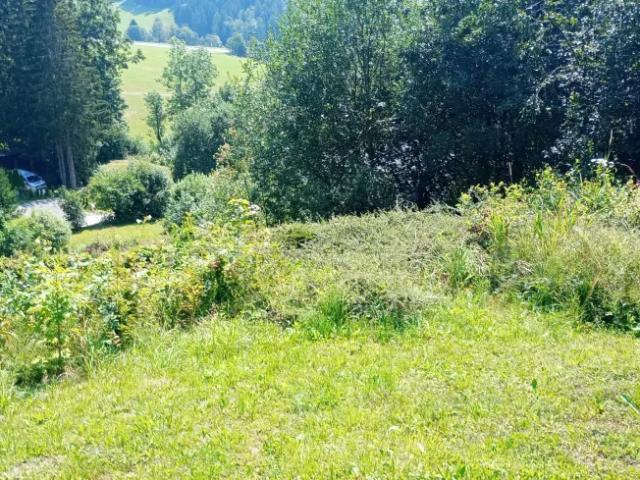 Grundstück kaufen in Spital am Semmering, Steiermark
