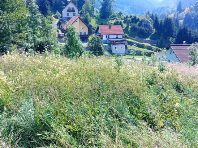 Grundstück kaufen in Spital am Semmering, Steiermark