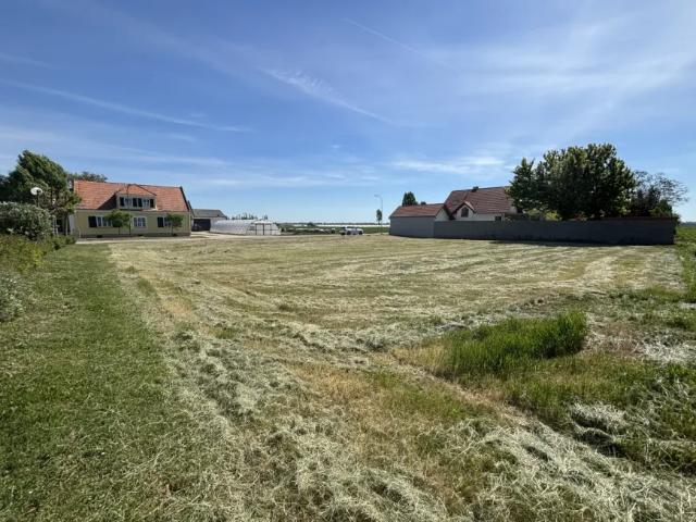 Grundstück kaufen in Tadten, Burgenland