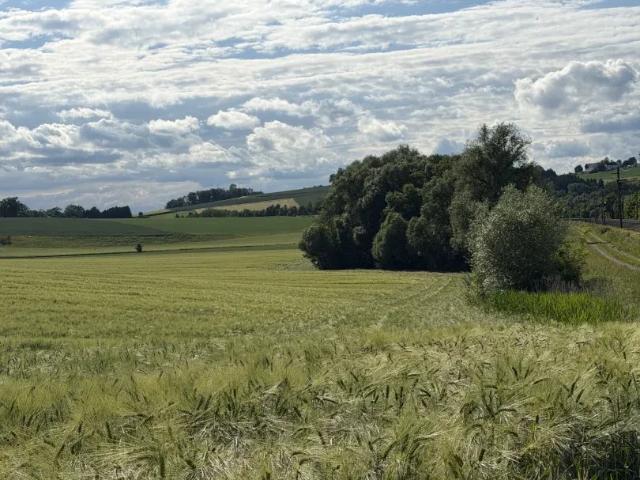 Grundstück kaufen in Taufkirchen an der Pram, Oberösterreich