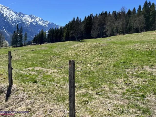 Grundstück kaufen in Bad Mitterndorf, Steiermark
