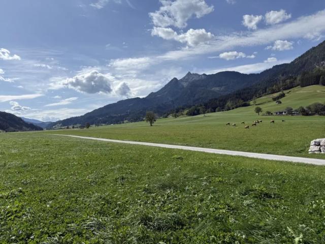 Grundstück kaufen in Steiermark