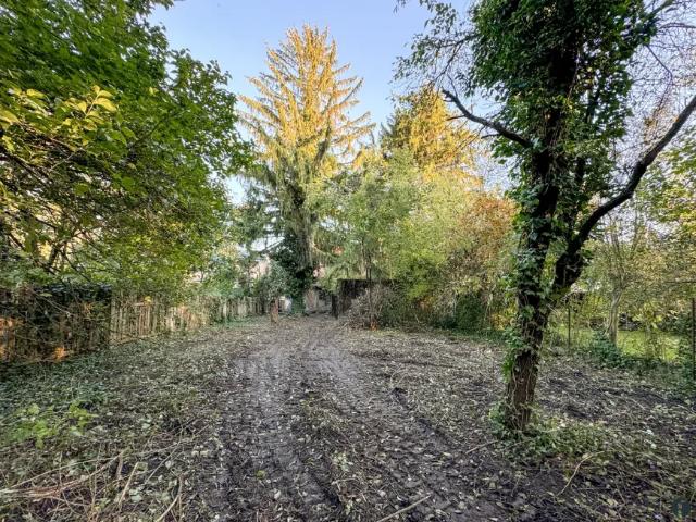 Grundstück kaufen in Niederösterreich