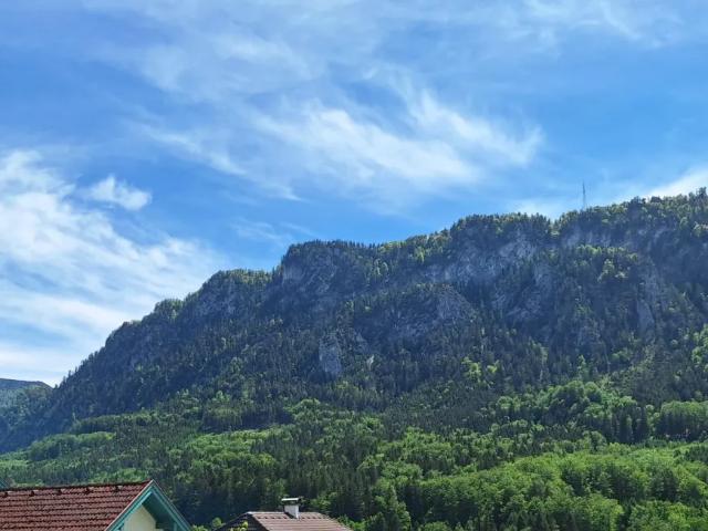 Grundstück kaufen in Unterach, Unterach am Attersee