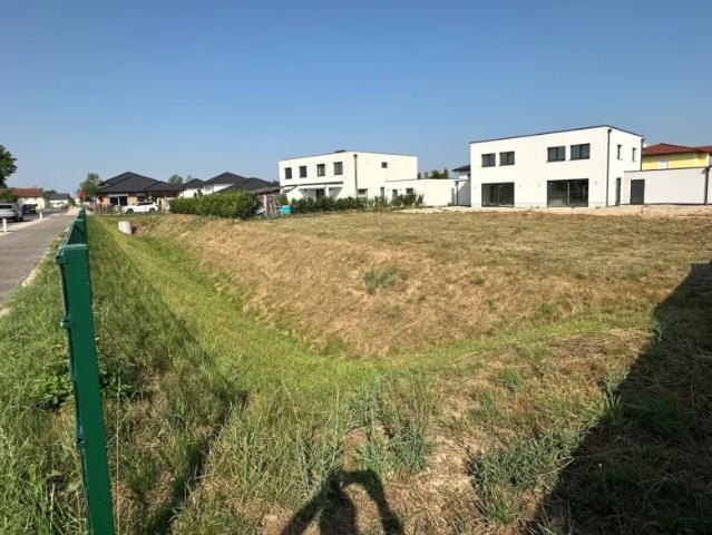 Grundstück kaufen in Waizenkirchen, Oberösterreich