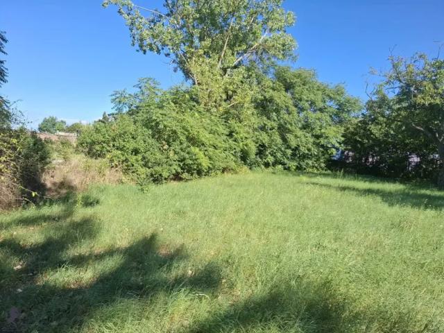 Grundstück kaufen in Waltersdorf an der March, Drösing