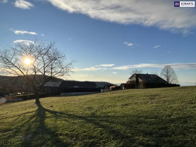 Grundstück kaufen in Niederschöckl, Weinitzen