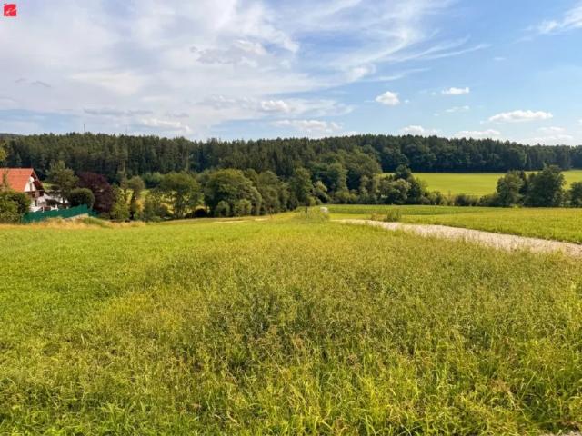 Grundstück kaufen in Niederschöckl, Weinitzen