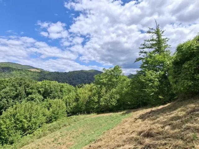 Grundstück kaufen in Weiten, Niederösterreich