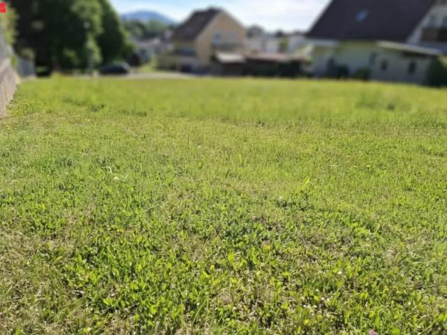 Grundstück kaufen in Weiz, Steiermark