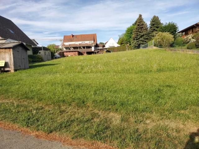 Grundstück kaufen in Weiz, Bezirk Weiz