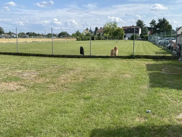 Grundstück kaufen in Donaustadt, Wien