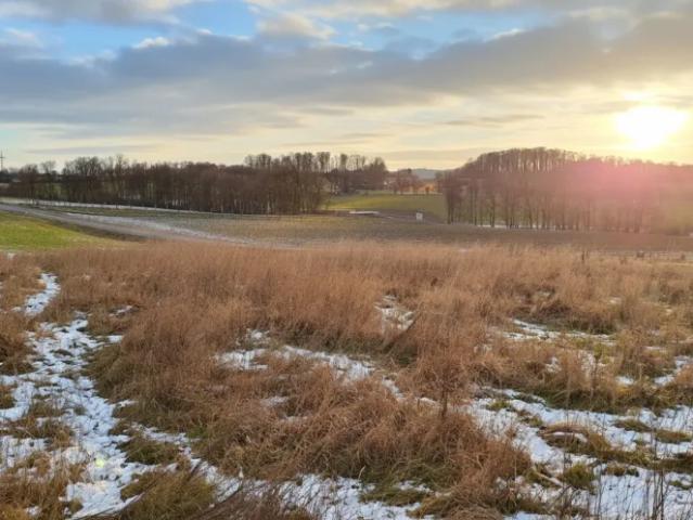 Grundstück kaufen in Wieselburg, Niederösterreich
