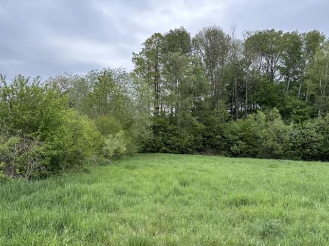 Grundstück kaufen in Wiesfleck, Burgenland