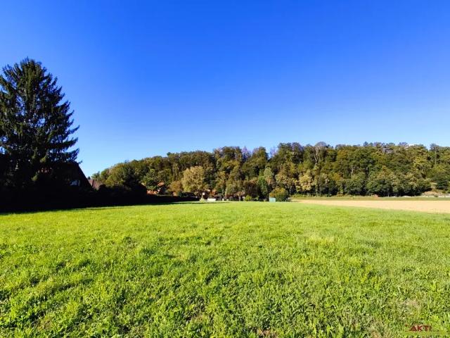 Grundstück kaufen in Kainach bei Wildon, Wildon