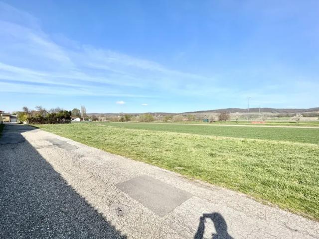 Grundstück kaufen in Winden am See, Burgenland
