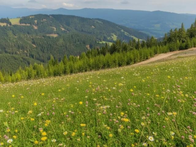 Grundstück kaufen in St. Johann im Pongau, Kärnten