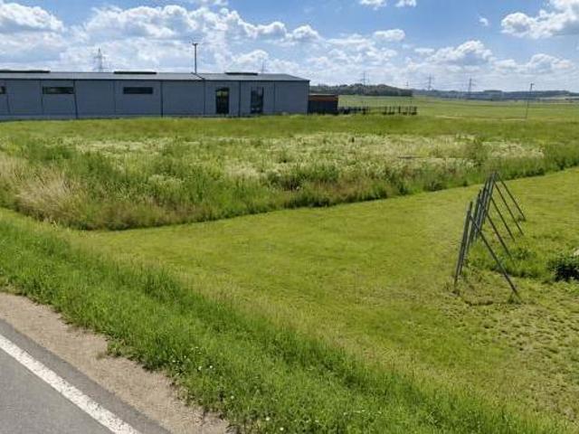 Grundstück kaufen in Zellerndorf, Niederösterreich