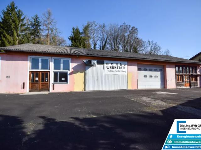 Immobilie kaufen in Langenstein, Oberösterreich