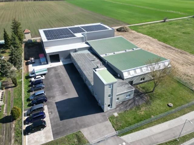 Immobilie kaufen in Marchegg, Niederösterreich