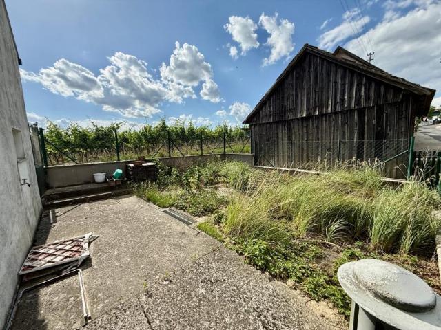 Haus kaufen in Alberndorf im Pulkautal, Niederösterreich