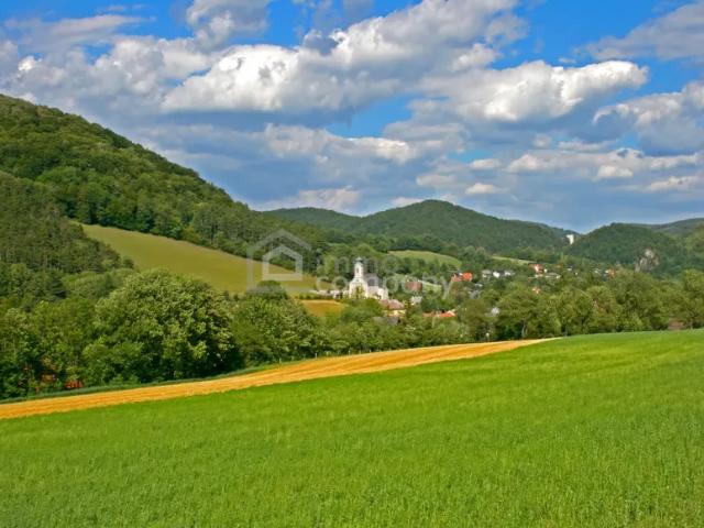 Haus kaufen in Altenmarkt an der Triesting, Niederösterreich