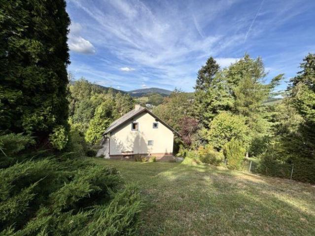 Haus kaufen in Aspang, Niederösterreich