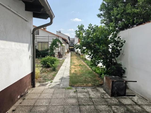 Haus kaufen in Au am Leithaberge, Bezirk Bruck an der Leitha