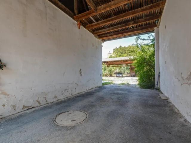Haus kaufen in Auersthal, Niederösterreich