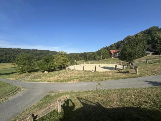 Haus kaufen in Bad Gleichenberg, Steiermark