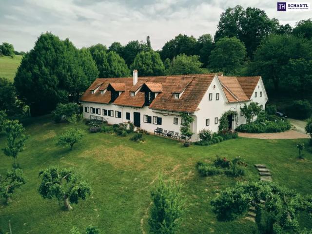 Haus kaufen in Mellau, Vorarlberg