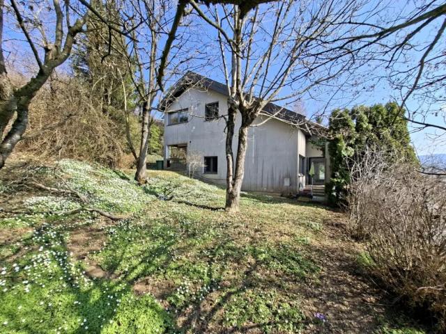 Haus kaufen in Birkfeld, Steiermark