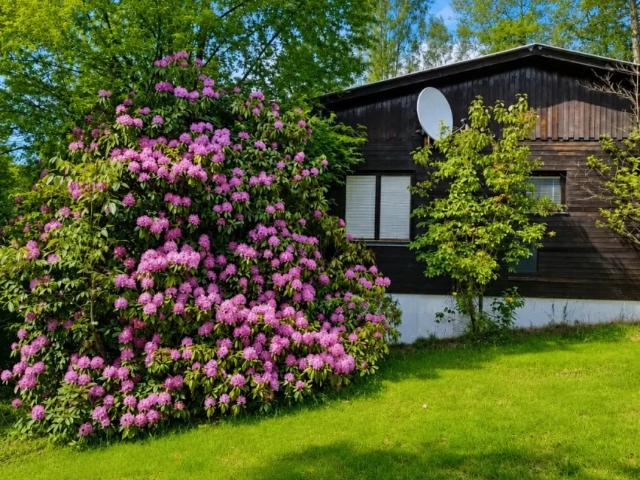 Haus kaufen in Bruck an der Mur, Steiermark