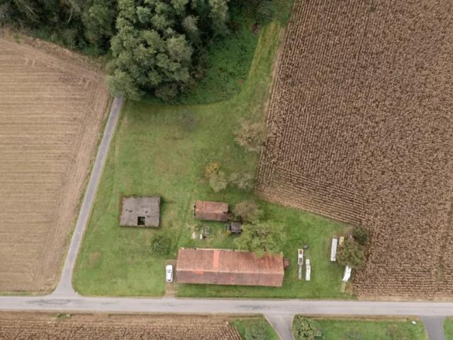 Haus kaufen in Hofstätten bei Deutsch Goritz, Deutsch Goritz