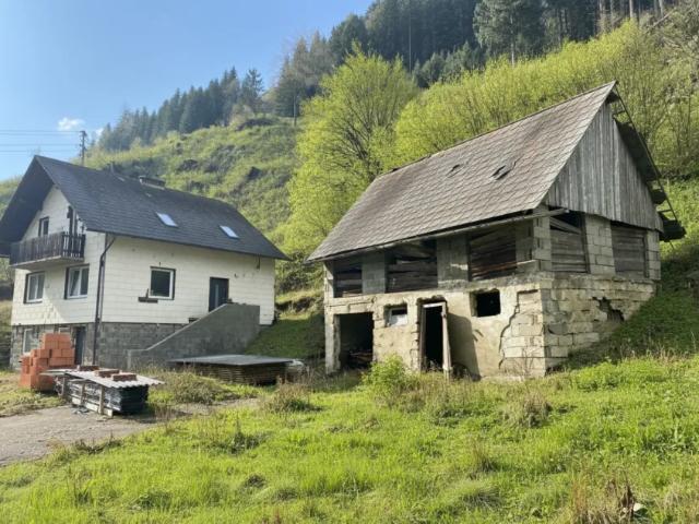 Haus kaufen in Mariahof, Steiermark