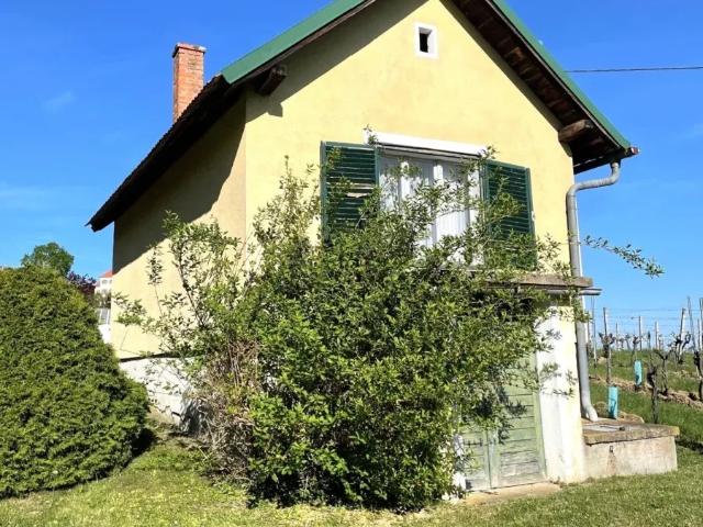 Haus kaufen in Eisenberg an der Pinka, Burgenland