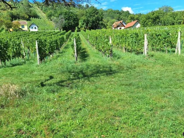 Haus kaufen in Eisenberg an der Pinka, Burgenland