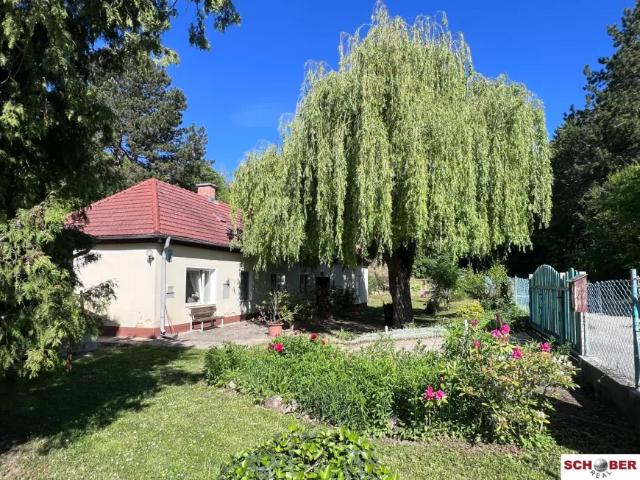 Haus kaufen in Enzesfeld-Lindabrunn, Niederösterreich