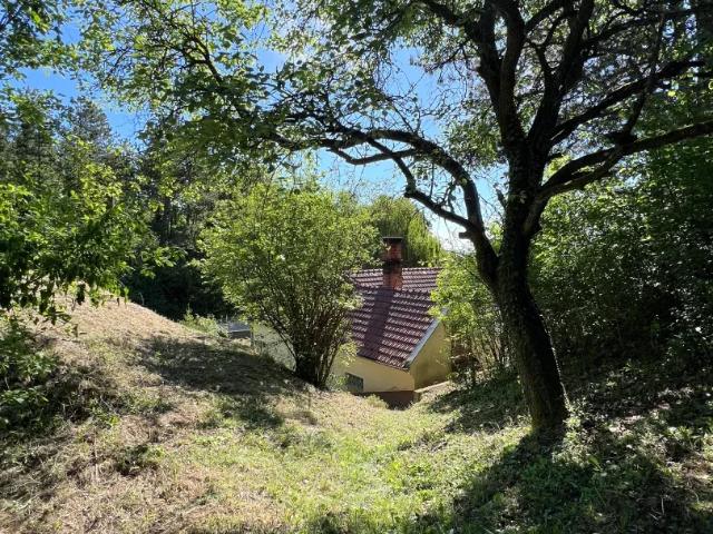 Haus kaufen in Enzesfeld-Lindabrunn, Niederösterreich