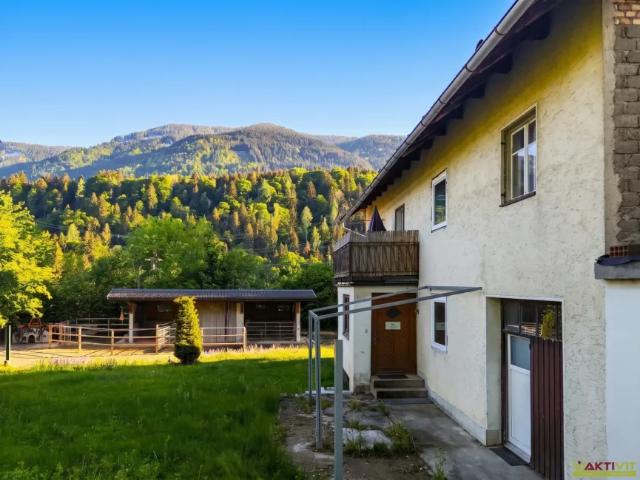 Haus kaufen in Feistritz an der Gail, Kärnten
