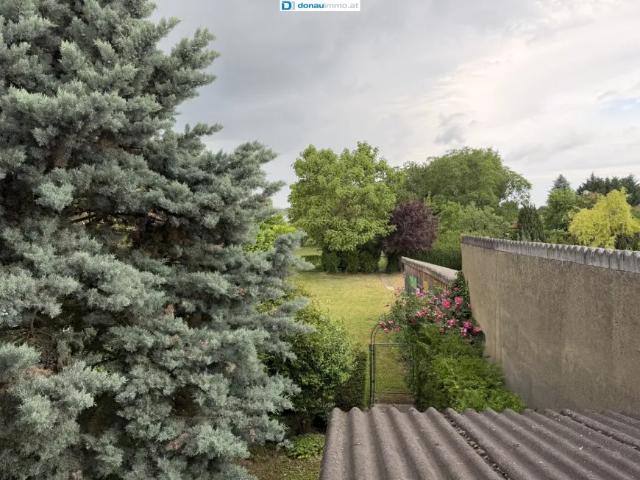 Haus kaufen in Fels am Wagram, Niederösterreich