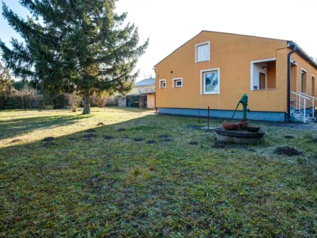 Haus kaufen in Gänserndorf, Niederösterreich