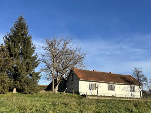 Haus kaufen in Gerersdorf-Sulz, Burgenland