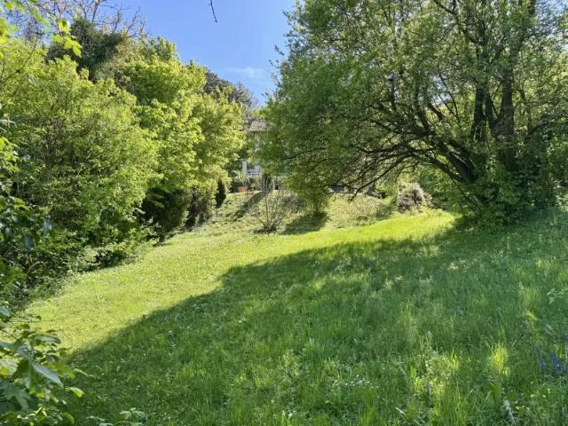 Haus kaufen in Maria Laach am Jauerling, Niederösterreich